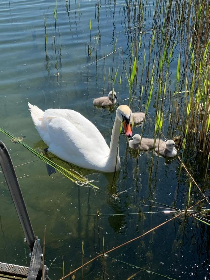 Sweet App Am See Ponitz am See Ngoại thất bức ảnh