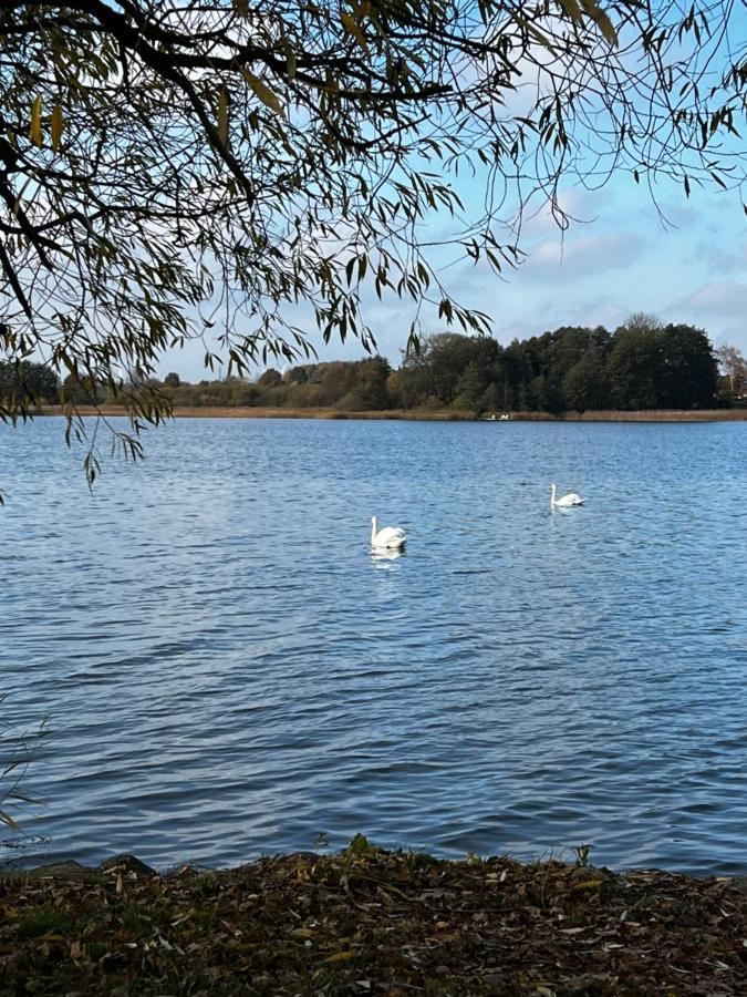 Sweet App Am See Ponitz am See Ngoại thất bức ảnh